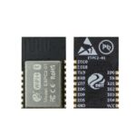 ESP C2-01 CHIP DOIT